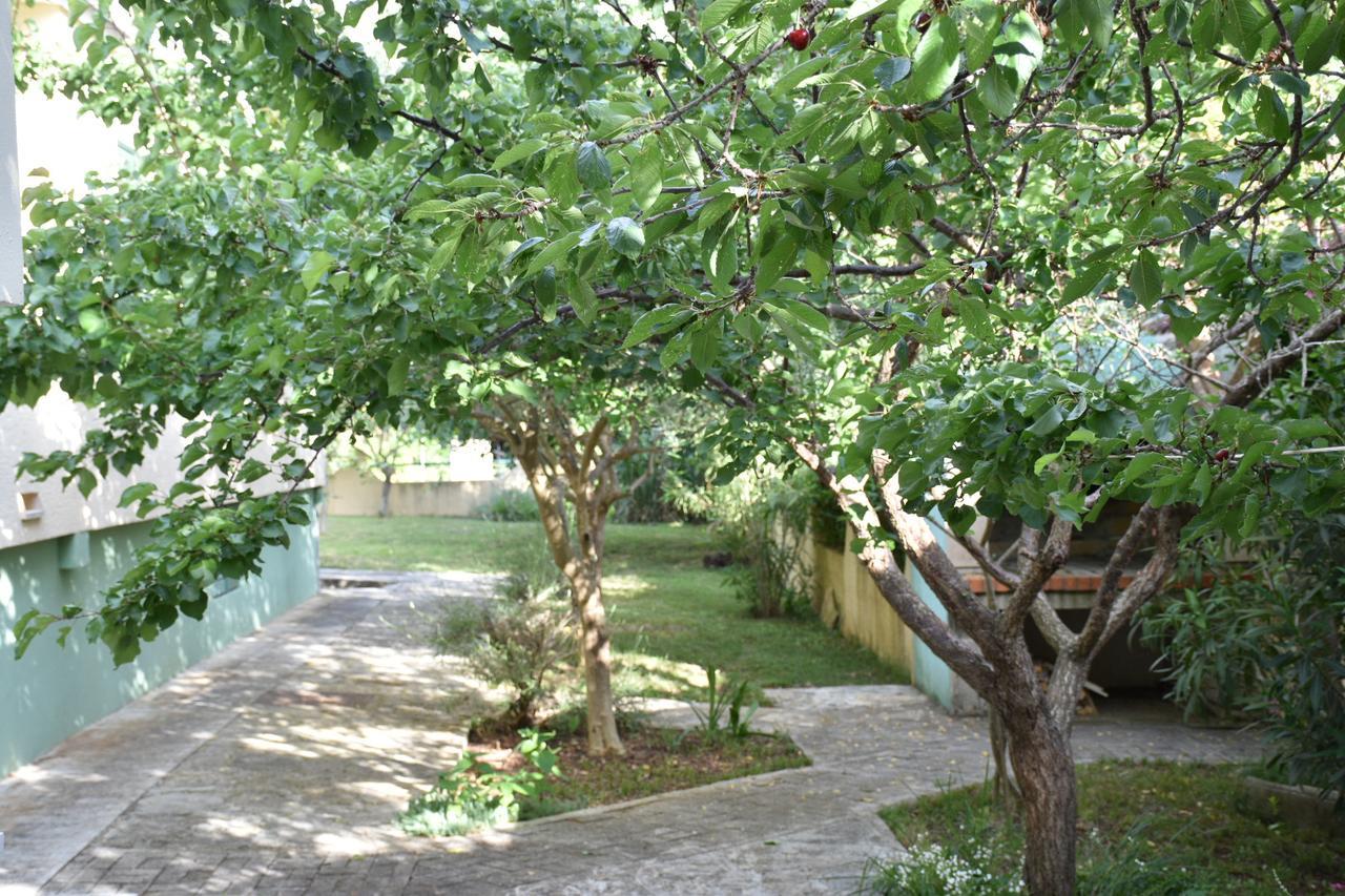 Apartments Antonija Punta Skala Next To Falkensteiner Resort Petrcane Εξωτερικό φωτογραφία