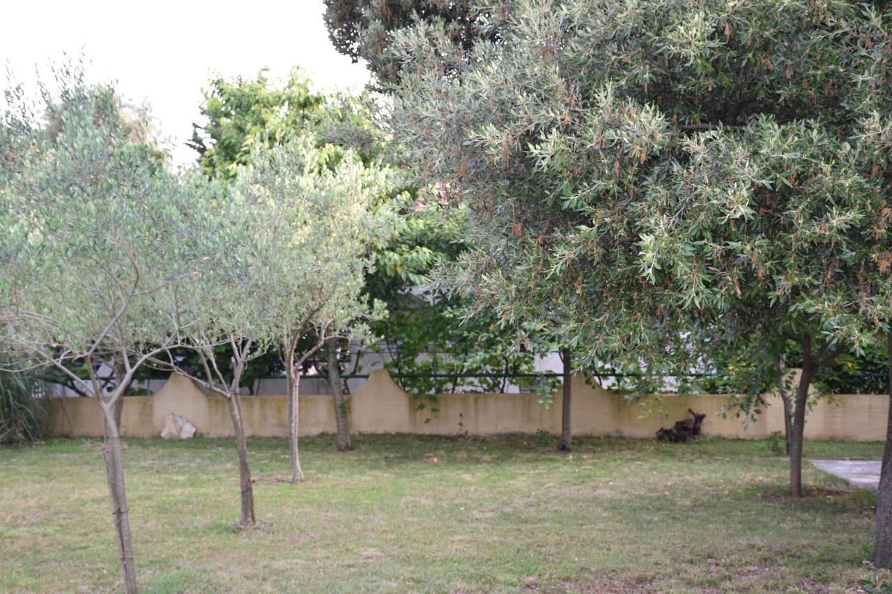Apartments Antonija Punta Skala Next To Falkensteiner Resort Petrcane Εξωτερικό φωτογραφία